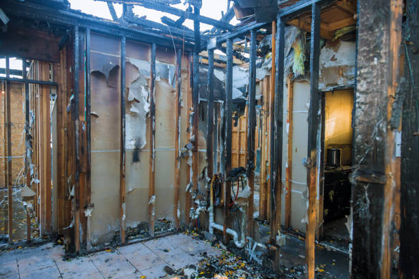 Professional Fire Damage Removal technician working in Mount Sinai, NY